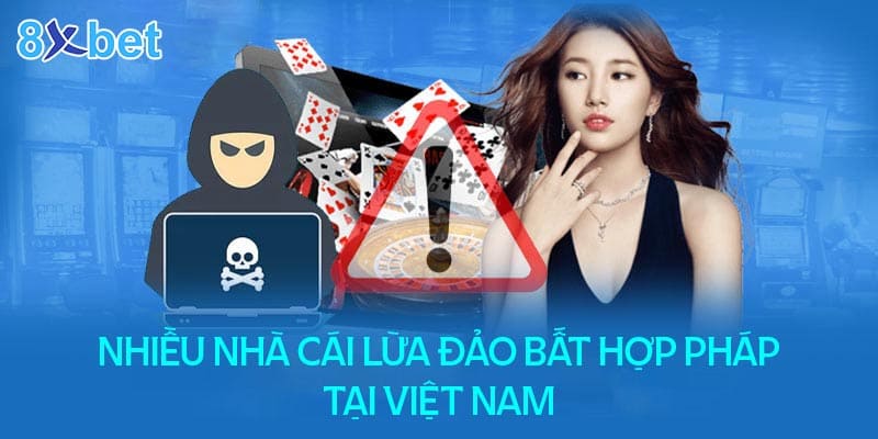 Tình hình các nhà cái hoạt động tại Việt Nam